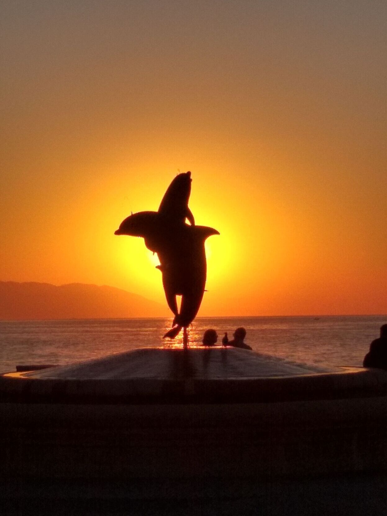 Glowing Dolphins